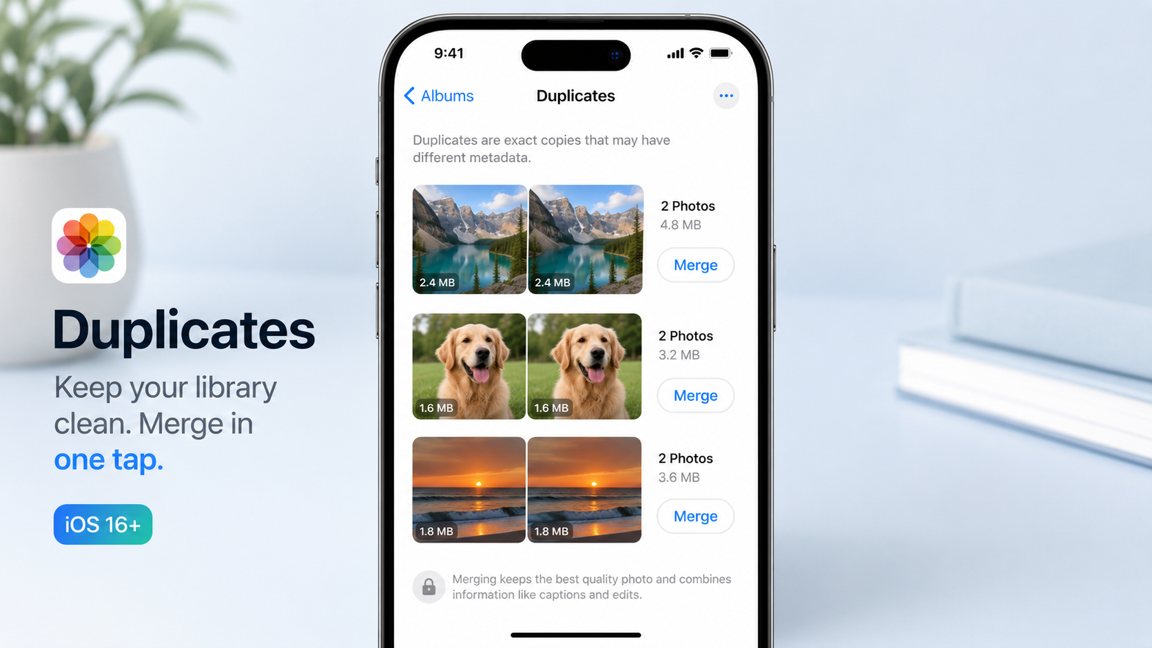 iOS 16 Duplicates album showing pairs of identical photos with Merge buttons
