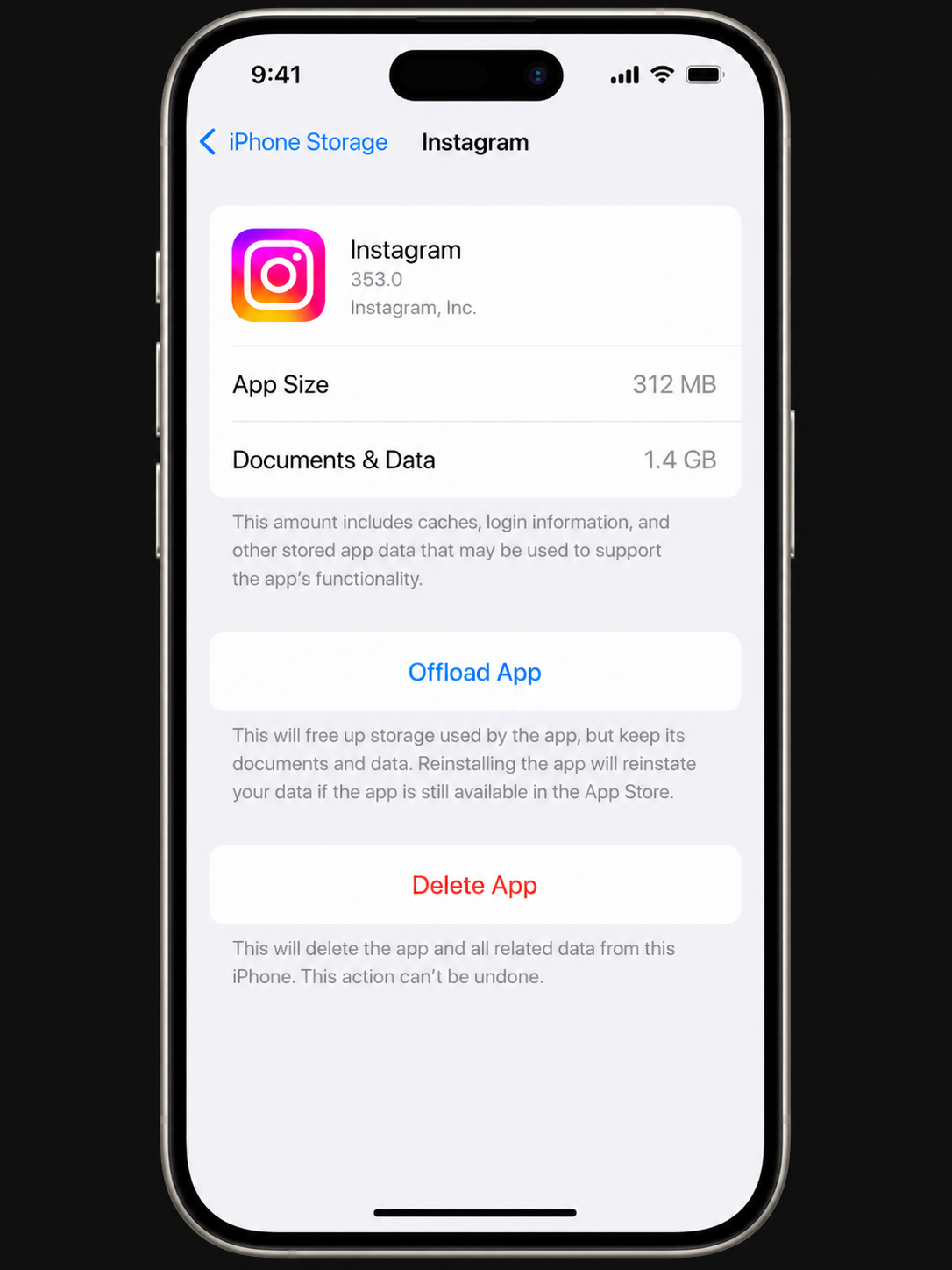 iPhone Storage screen showing an individual app detail with App Size and Documents and Data storage breakdown